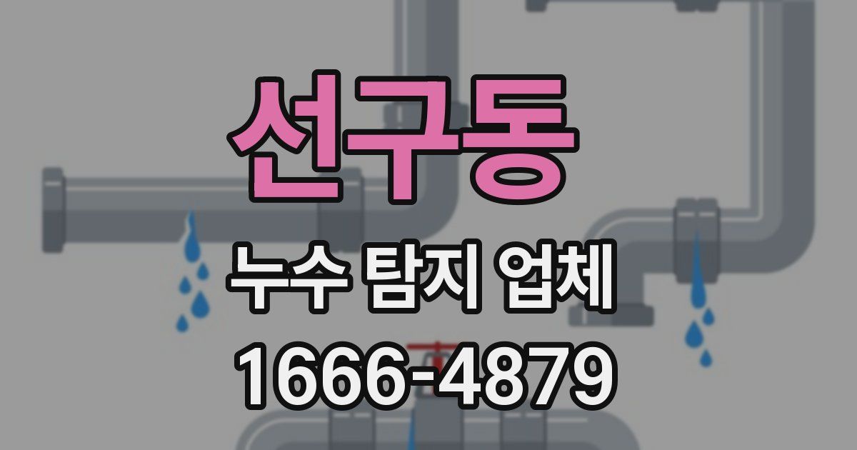 선구동 누수 탐지 업체