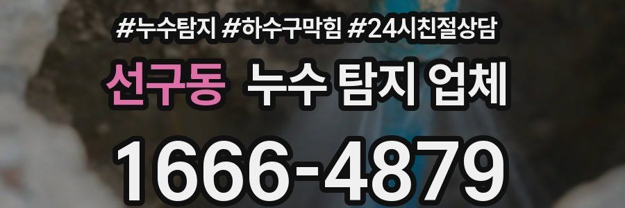 선구동 누수 탐지 업체