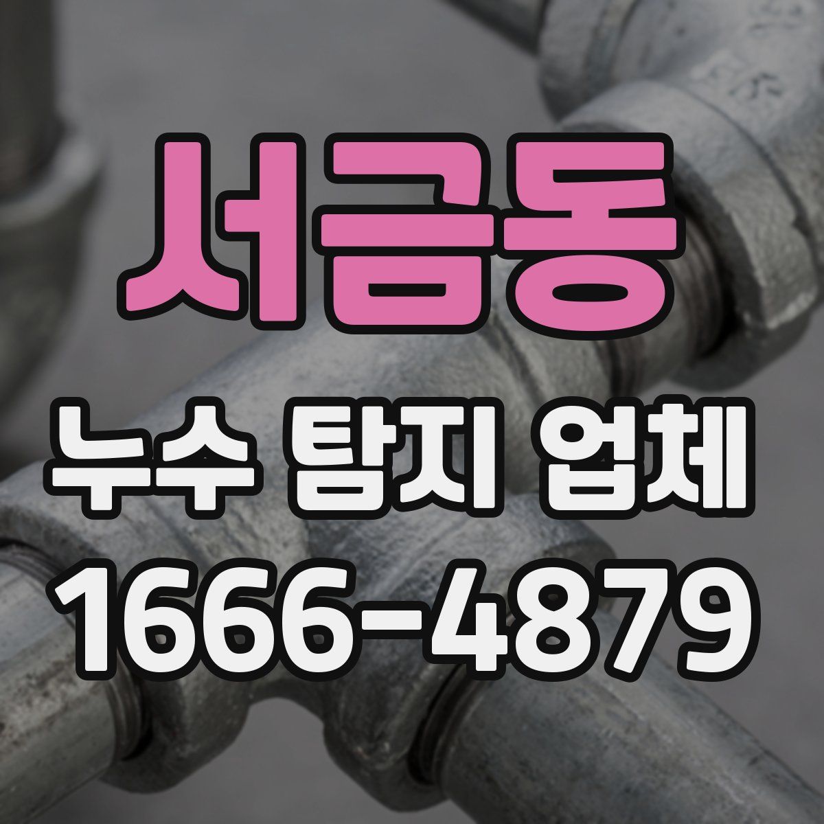 서금동 누수 탐지 업체