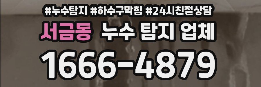서금동 누수 탐지 업체