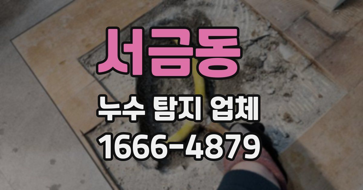 서금동 누수 탐지 업체