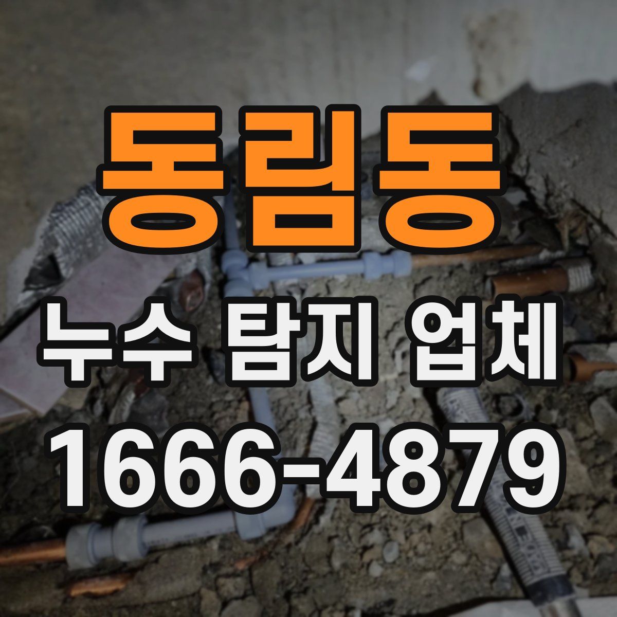 동림동 누수 탐지 업체