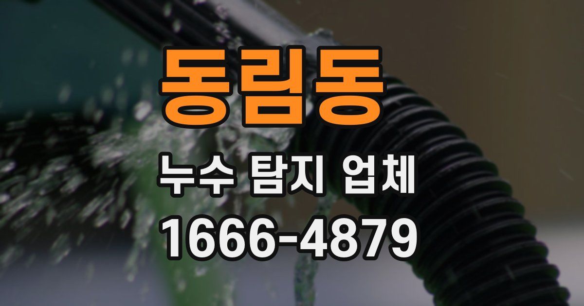 동림동 누수 탐지 업체