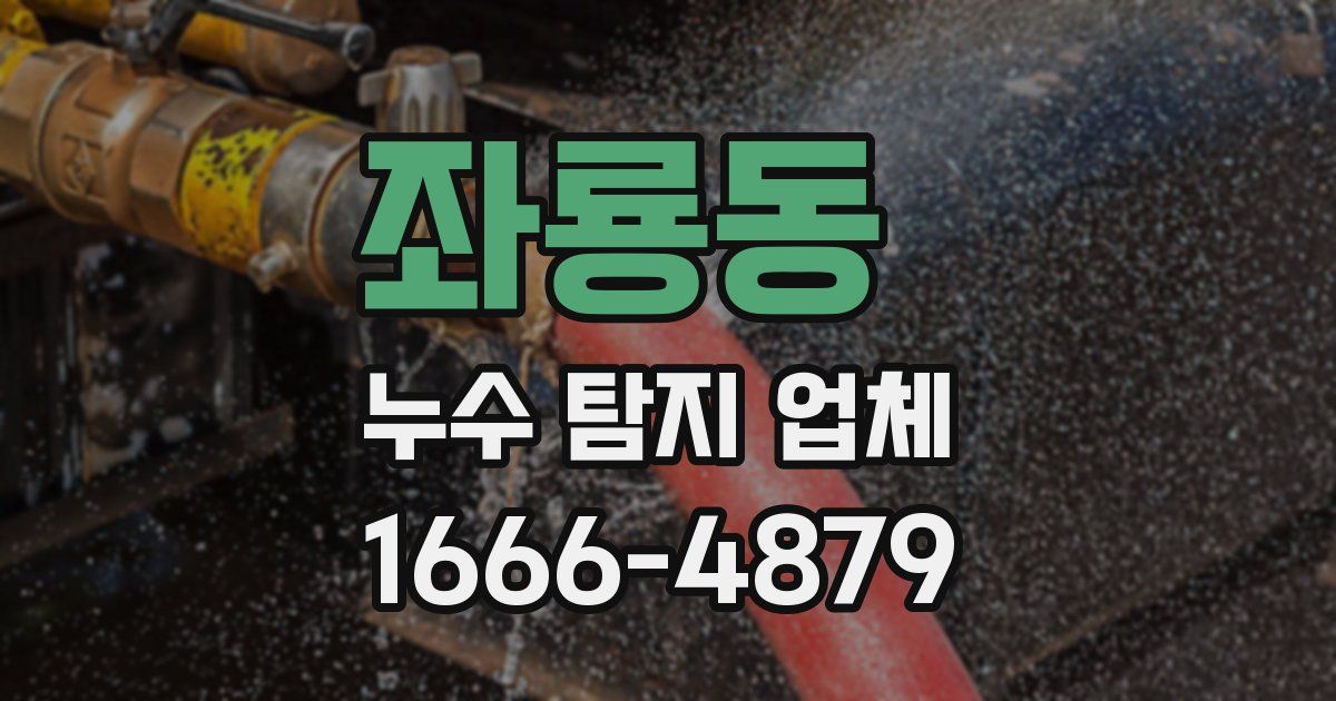 좌룡동 누수 탐지 업체