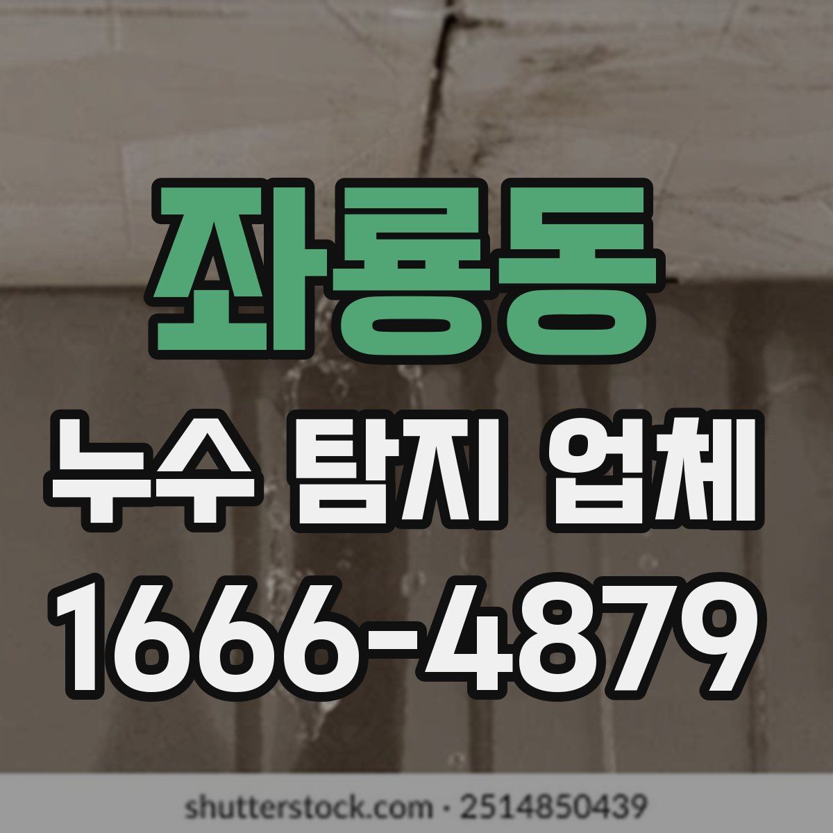 좌룡동 누수 탐지 업체