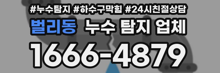 벌리동 누수 탐지 업체