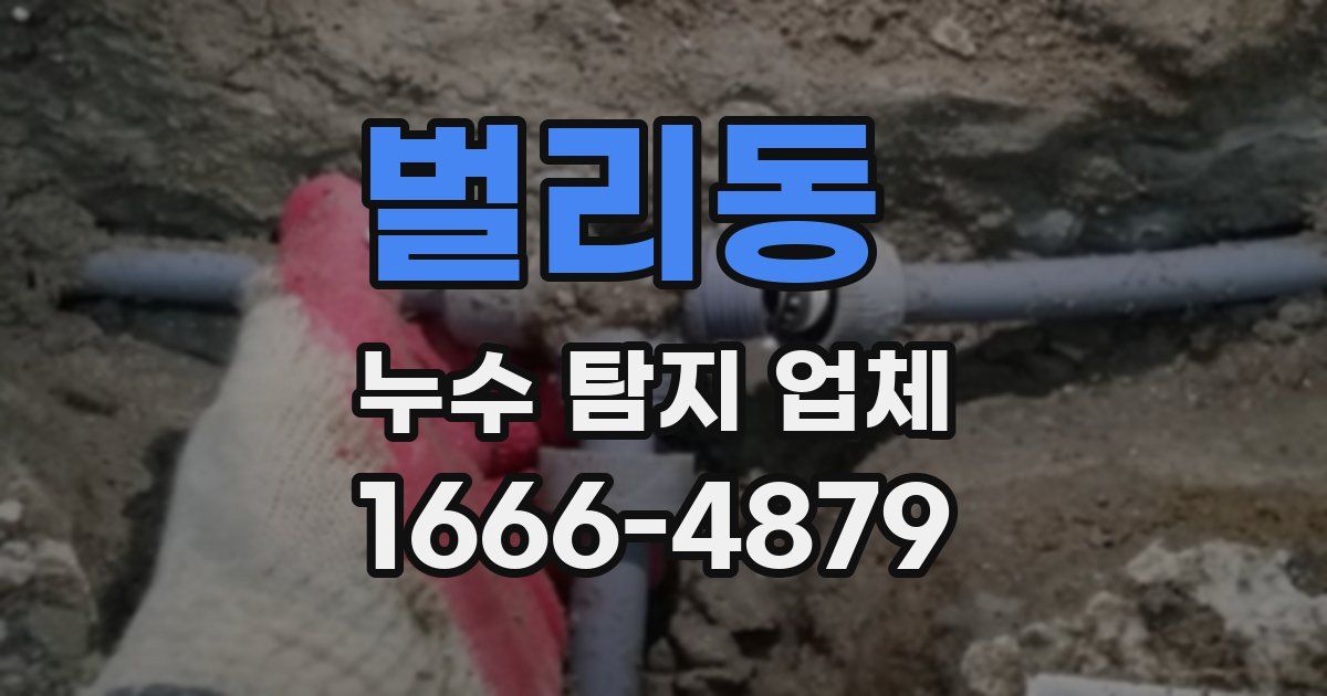 벌리동 누수 탐지 업체