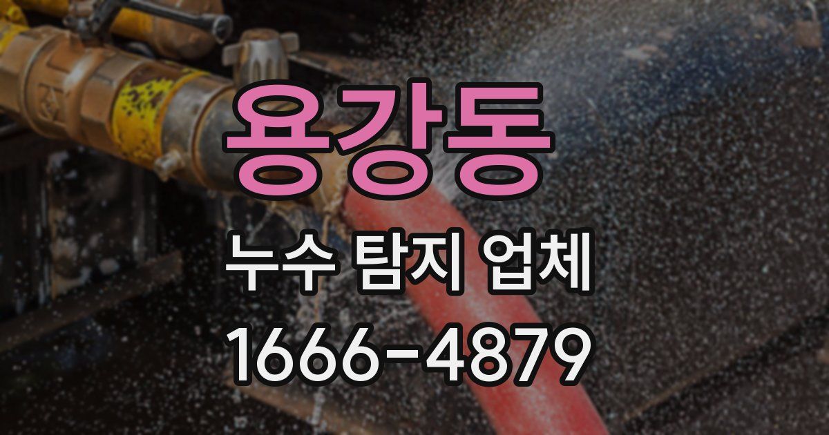 용강동 누수 탐지 업체