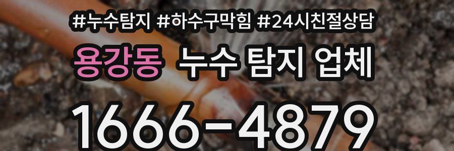 용강동 누수 탐지 업체