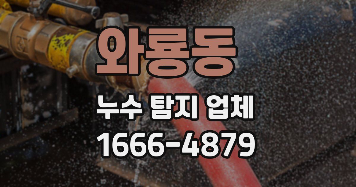 와룡동 누수 탐지 업체