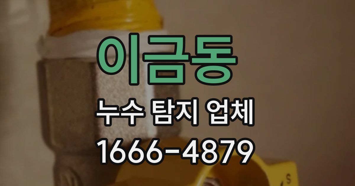 이금동 누수 탐지 업체