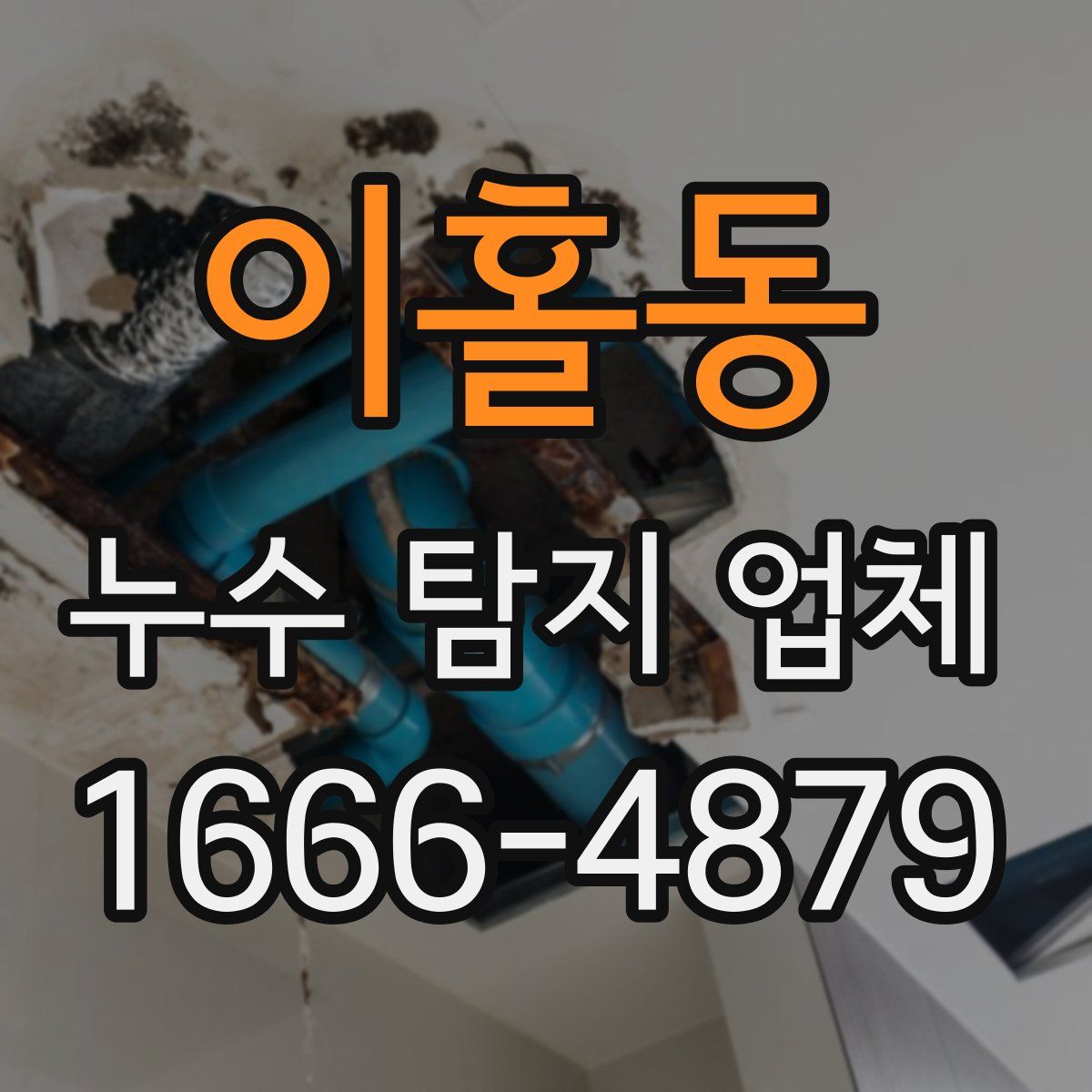 이홀동 누수 탐지 업체