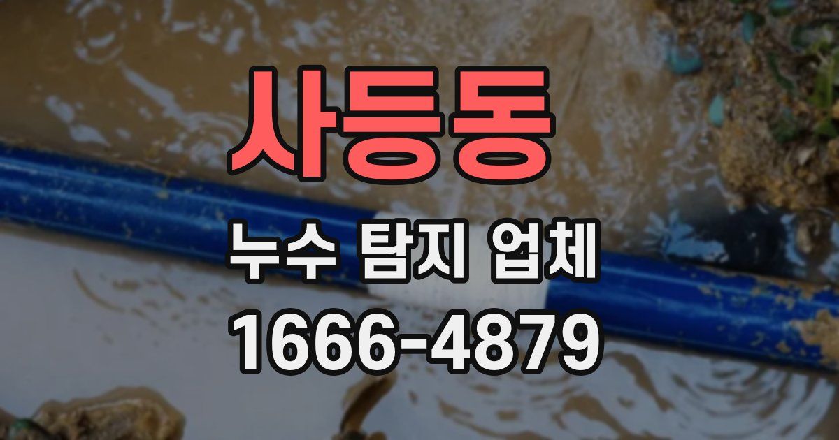 사등동 누수 탐지 업체