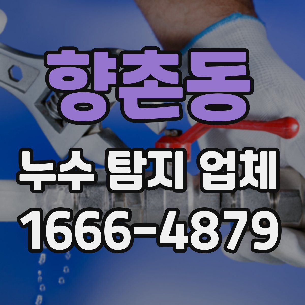 향촌동 누수 탐지 업체