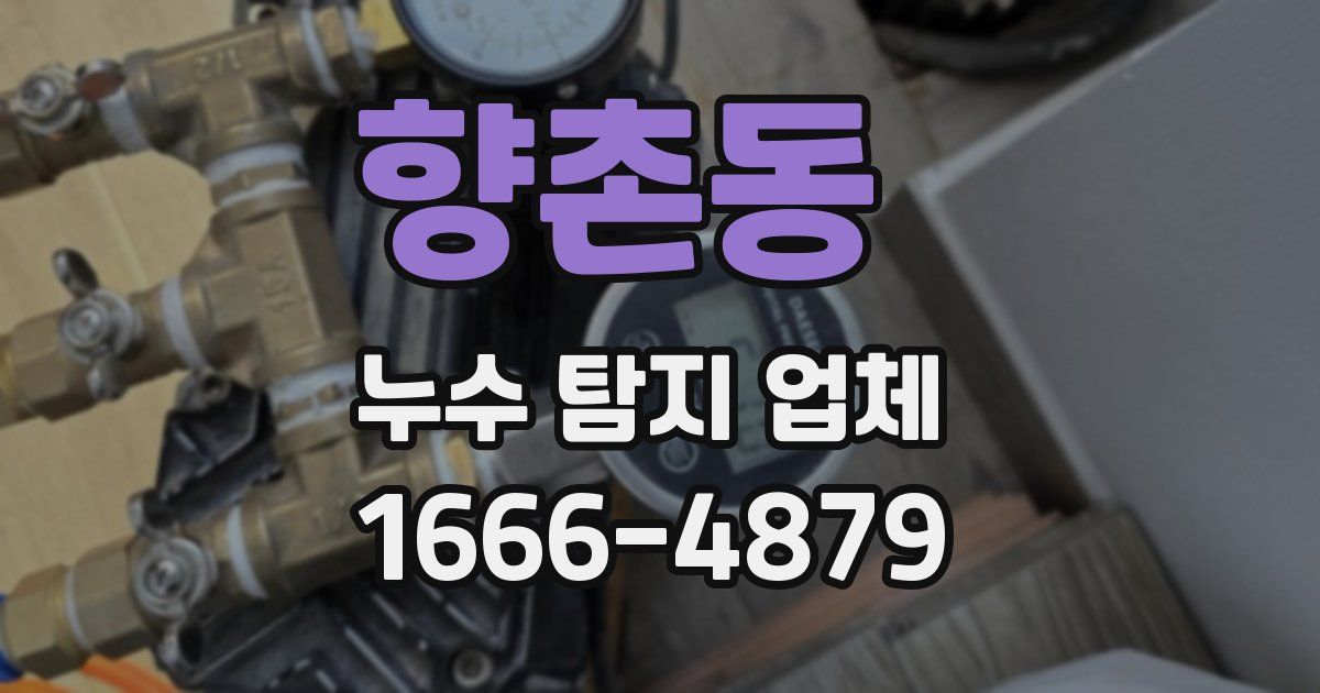 향촌동 누수 탐지 업체