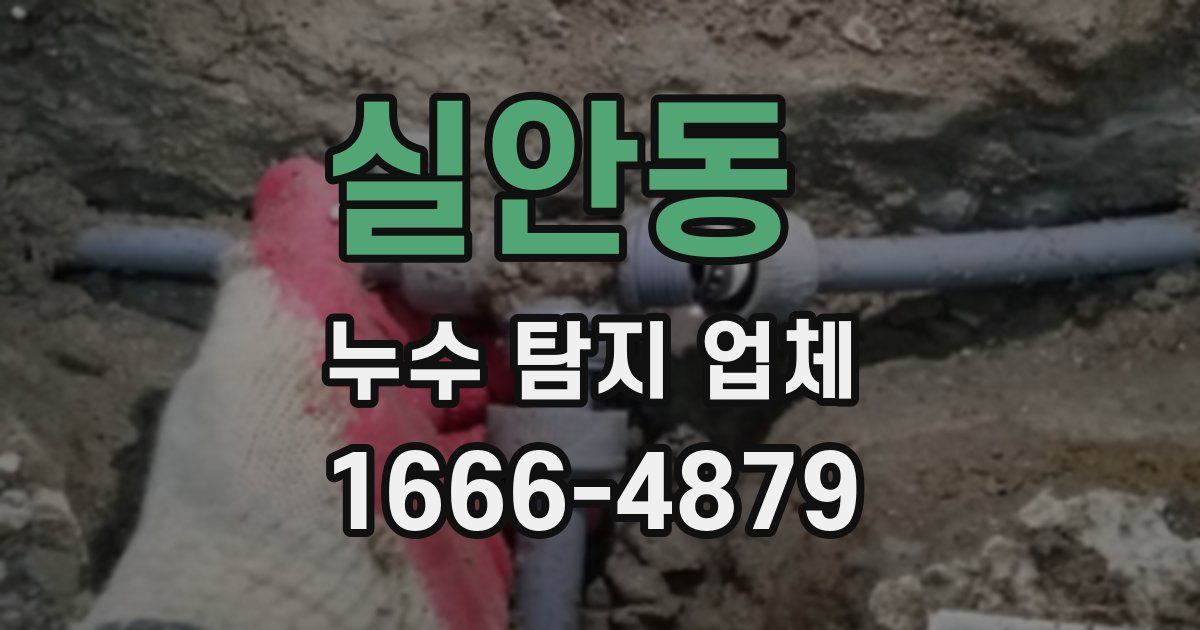 실안동 누수 탐지 업체
