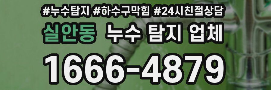 실안동 누수 탐지 업체