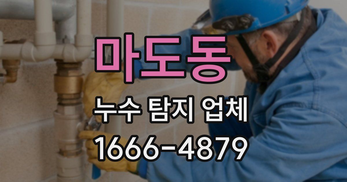 마도동 누수 탐지 업체