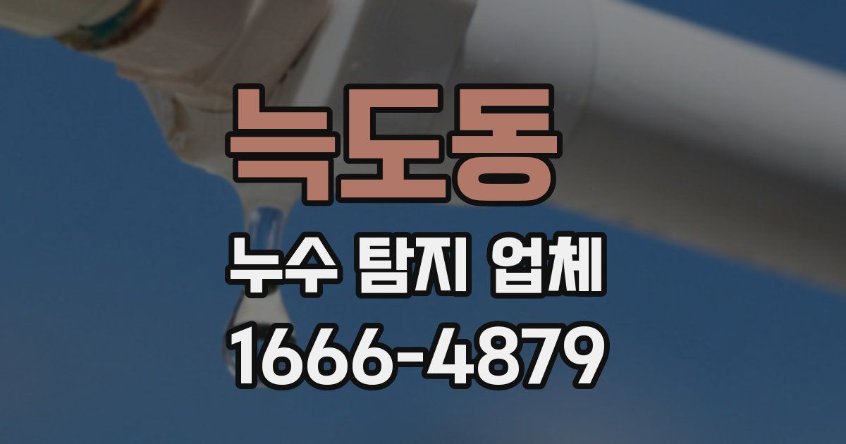 늑도동 누수 탐지 업체