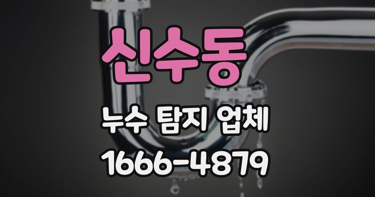 신수동 누수 탐지 업체