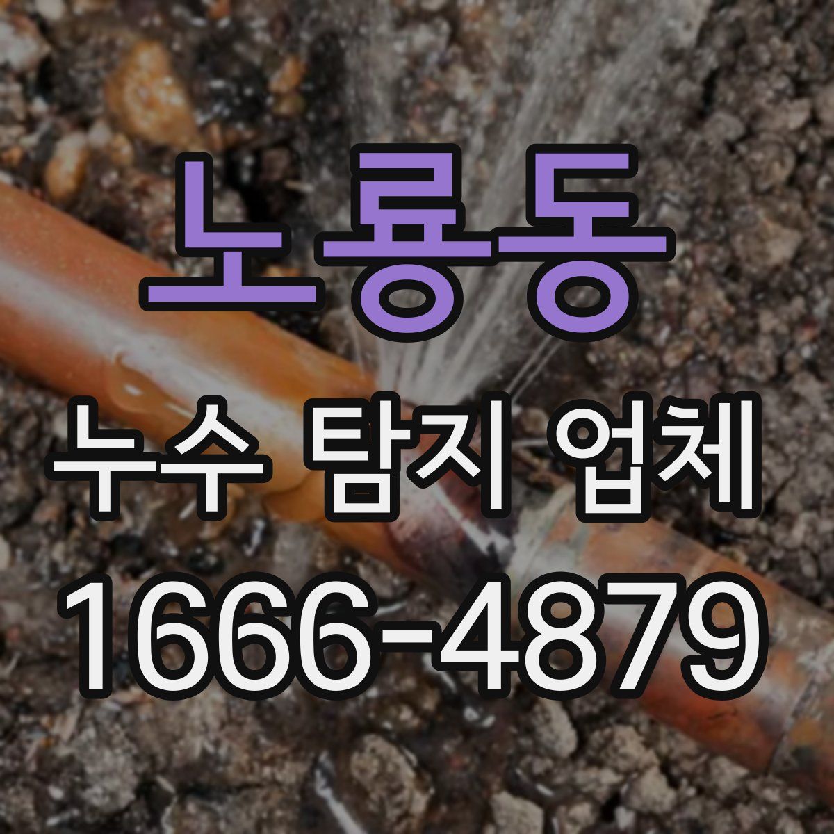 노룡동 누수 탐지 업체
