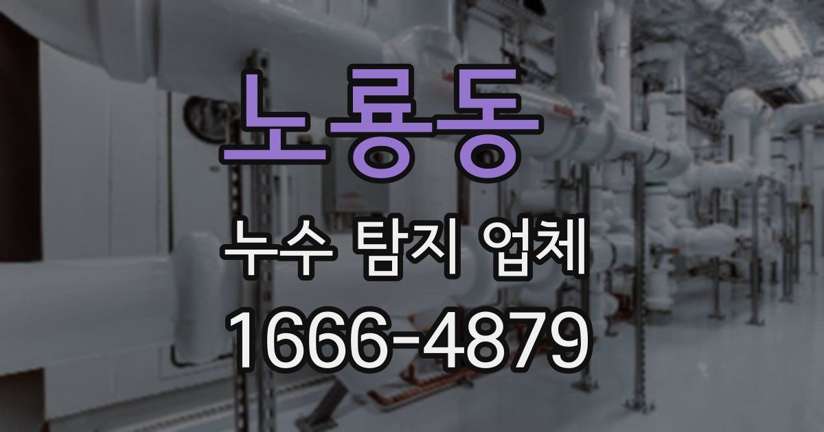 노룡동 누수 탐지 업체
