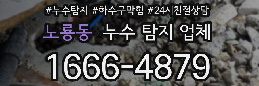 노룡동 누수 탐지 업체
