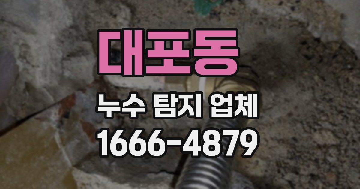 대포동 누수 탐지 업체