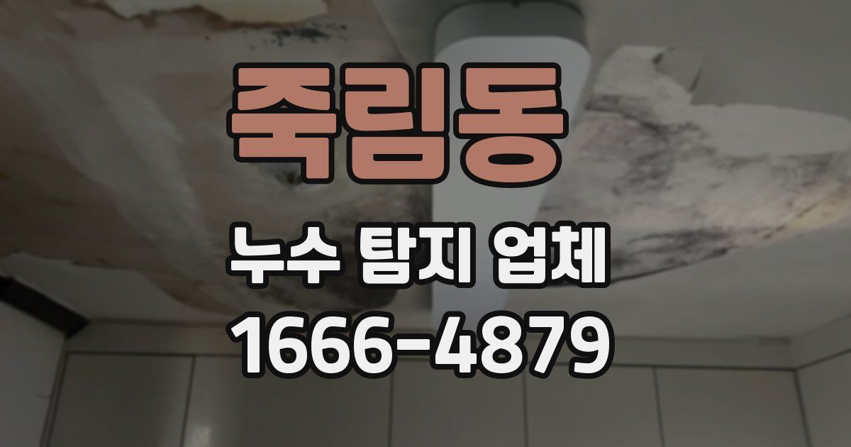 죽림동 누수 탐지 업체