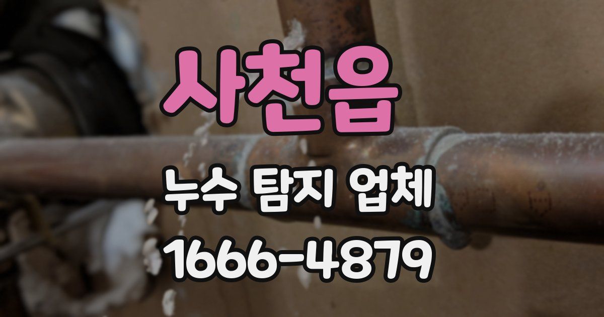 사천읍 누수 탐지 업체