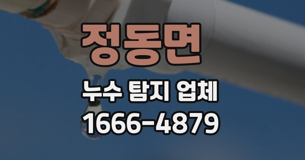정동면 누수 탐지 업체