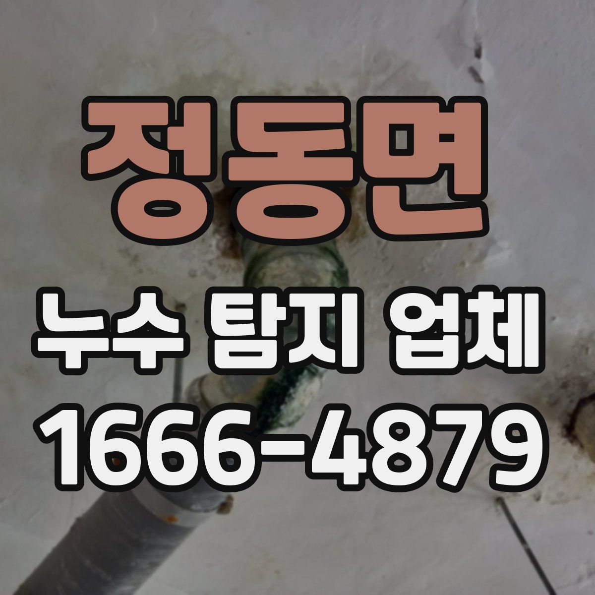 정동면 누수 탐지 업체