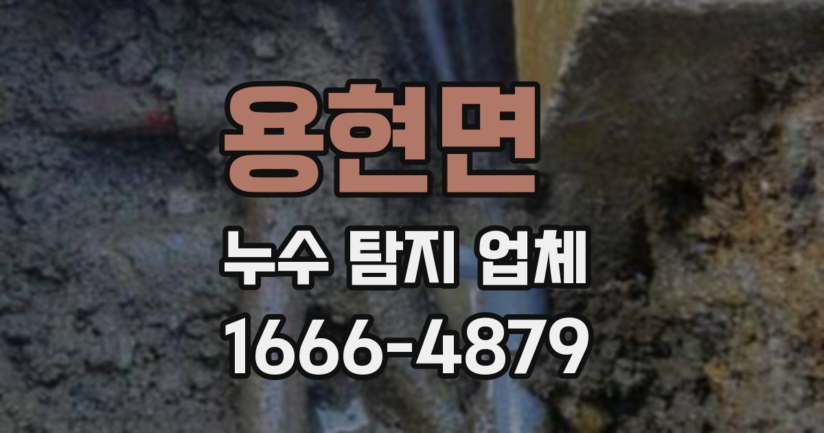 용현면 누수 탐지 업체