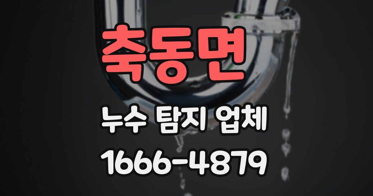 축동면 누수 탐지 업체