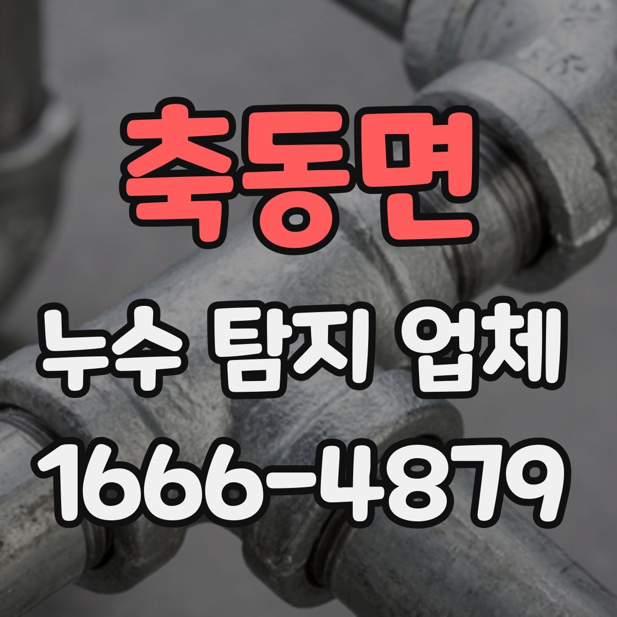 축동면 누수 탐지 업체