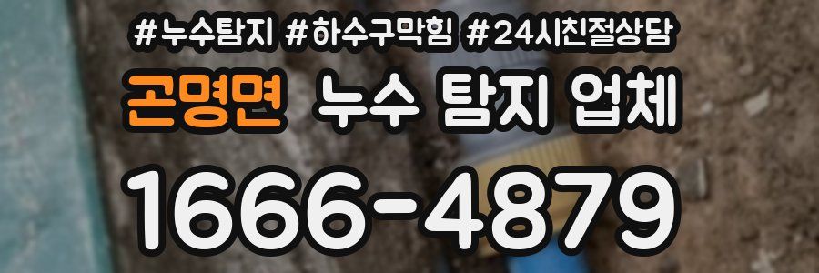 곤명면 누수 탐지 업체