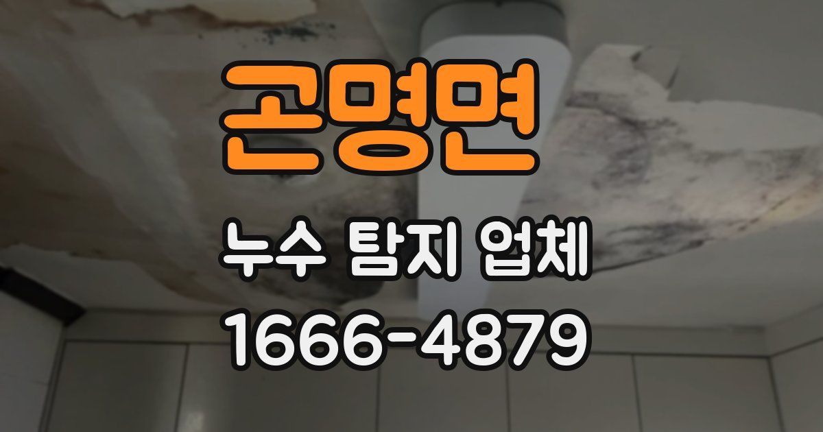 곤명면 누수 탐지 업체
