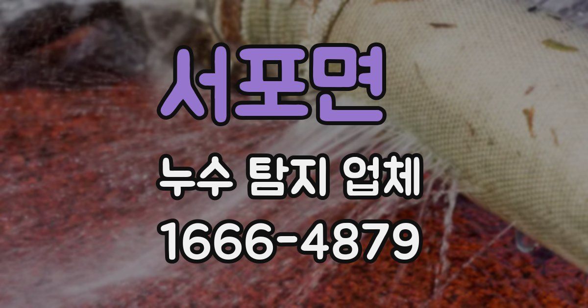 서포면 누수 탐지 업체