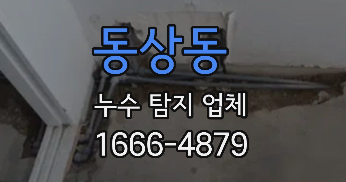 동상동 누수 탐지 업체