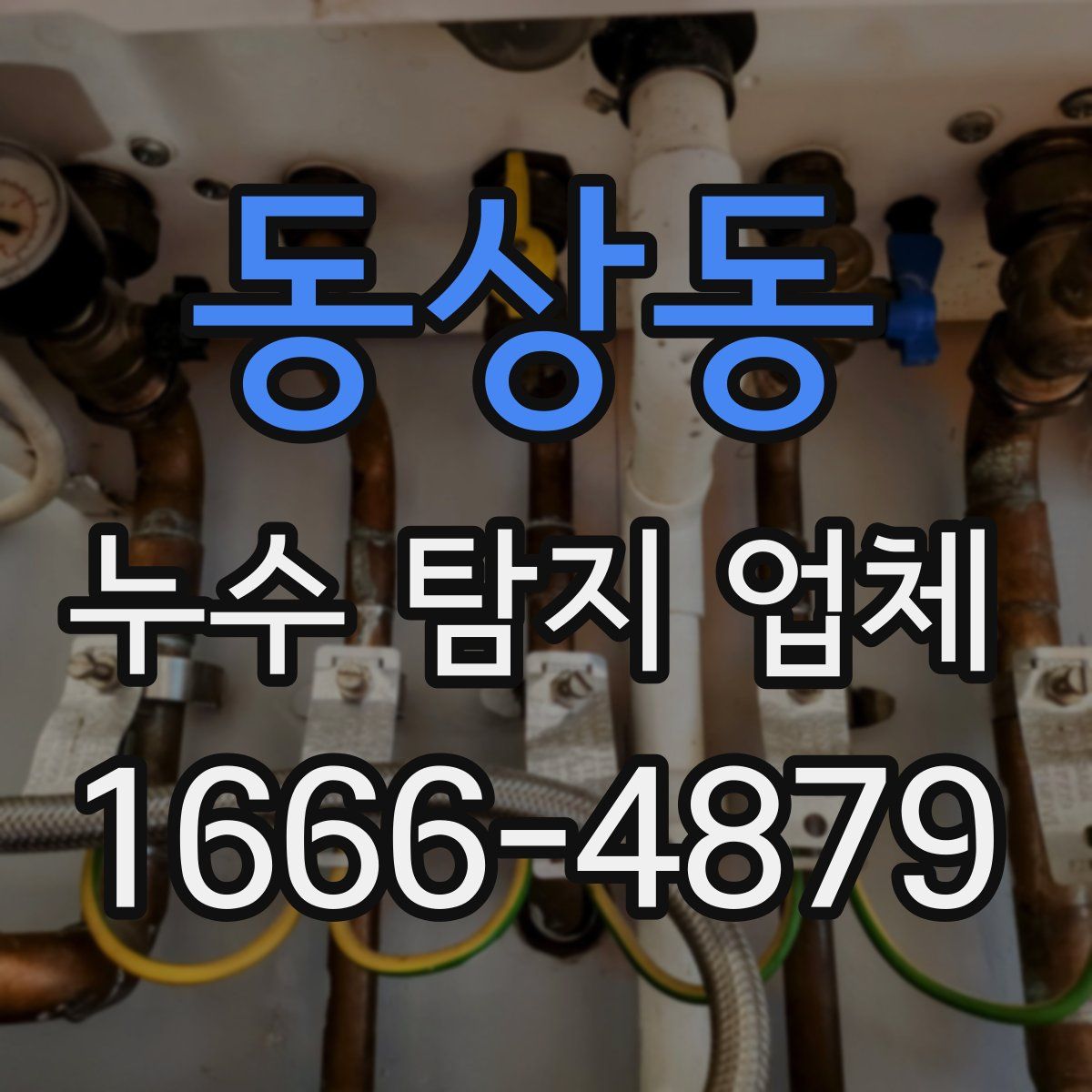 동상동 누수 탐지 업체