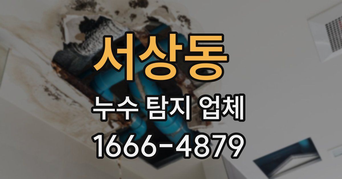 서상동 누수 탐지 업체