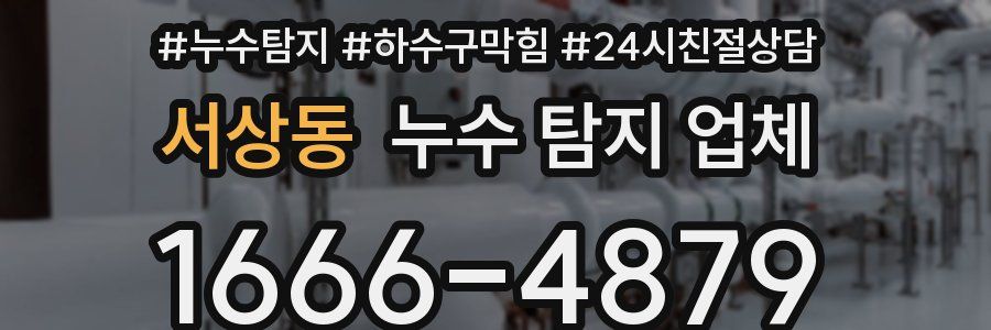 서상동 누수 탐지 업체