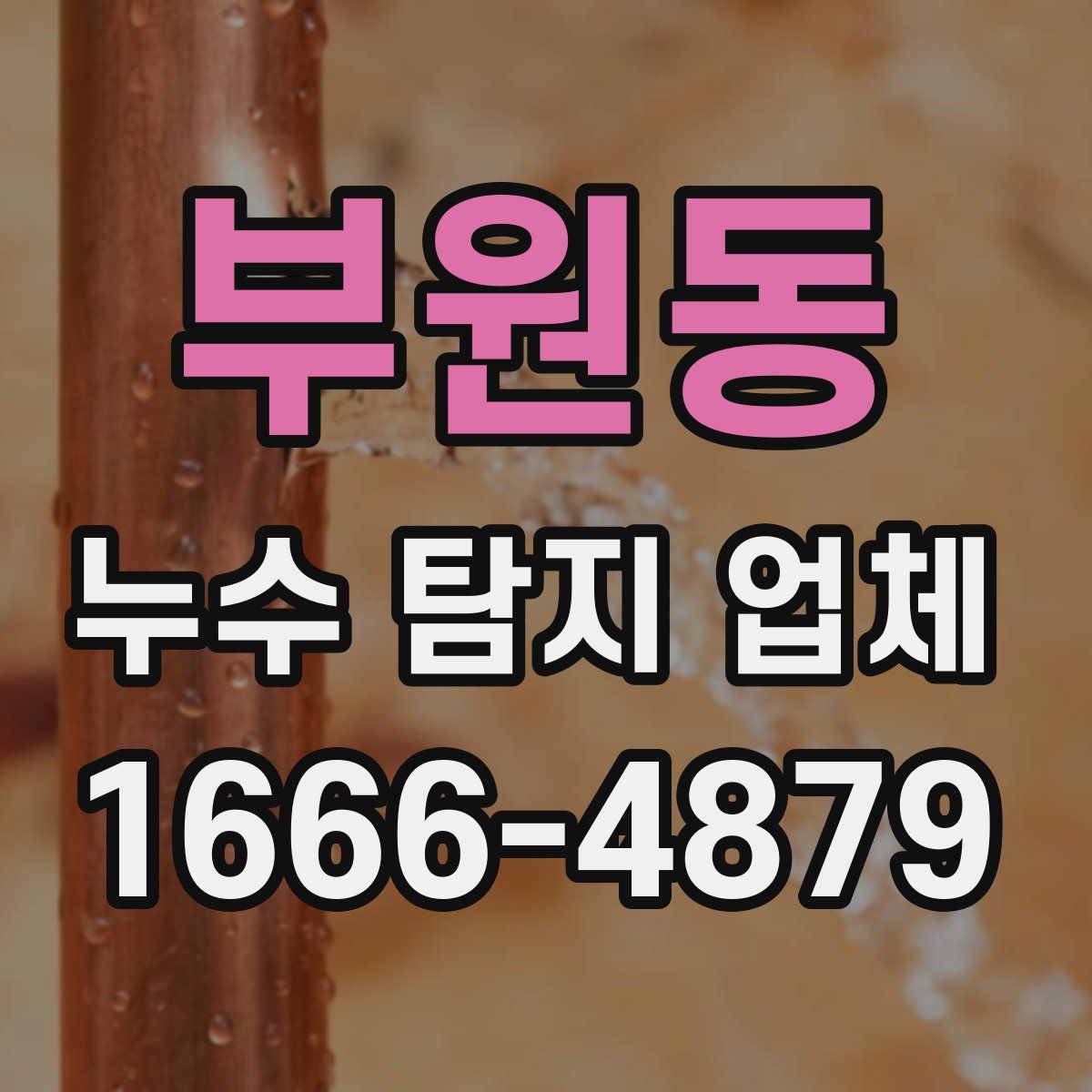 부원동 누수 탐지 업체