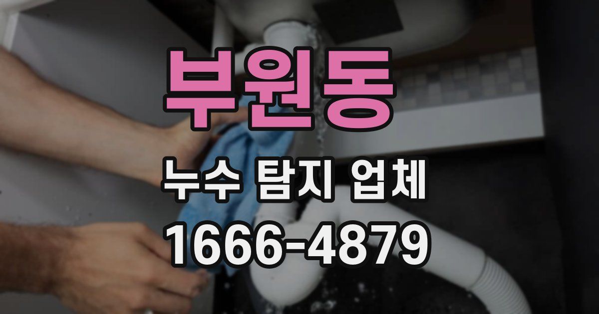 부원동 누수 탐지 업체