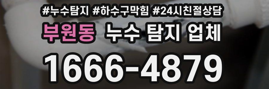부원동 누수 탐지 업체