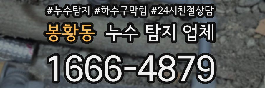 봉황동 누수 탐지 업체