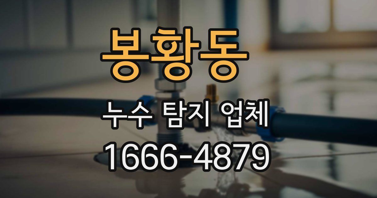 봉황동 누수 탐지 업체
