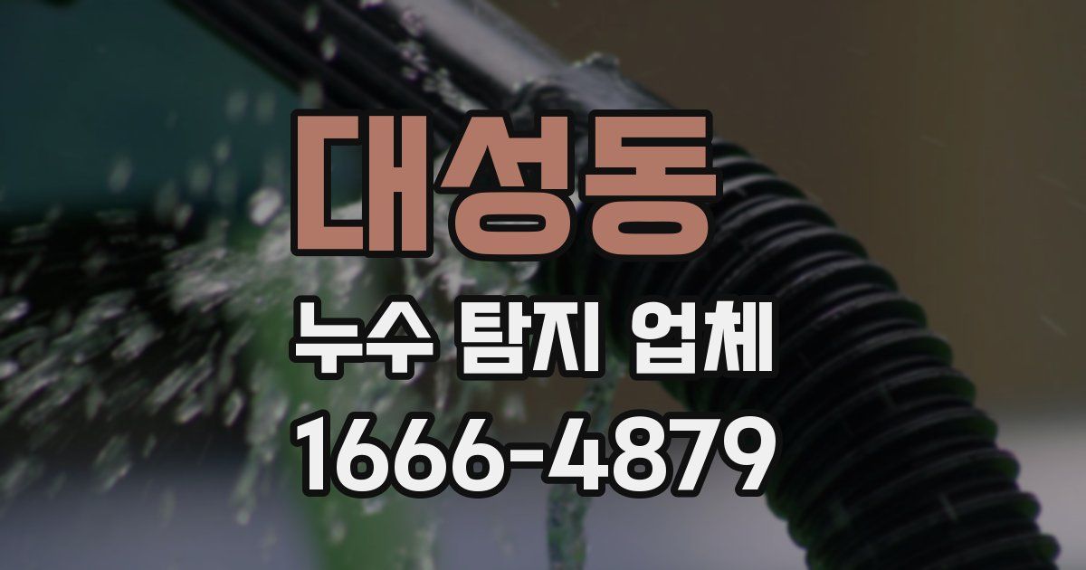 대성동 누수 탐지 업체