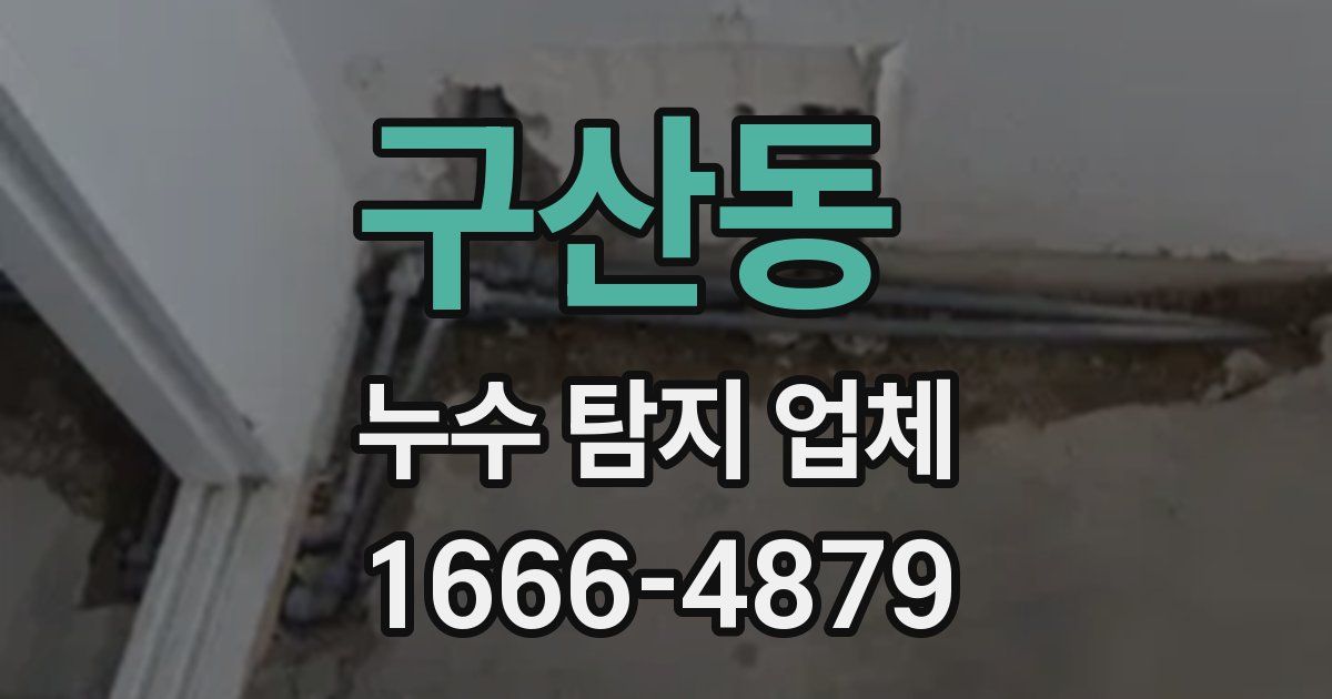 구산동 누수 탐지 업체