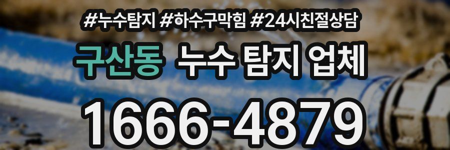 구산동 누수 탐지 업체